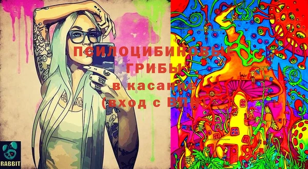 амф Вяземский