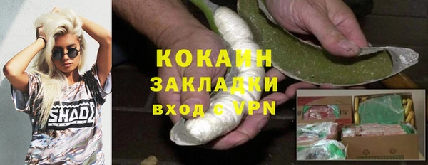 ешки Вязьма