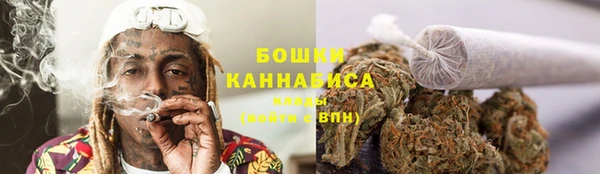 ешки Вязьма