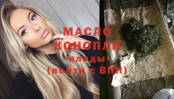 амф Вяземский