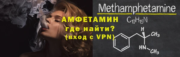 амф Вяземский