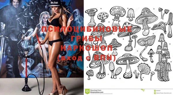 амф Вяземский