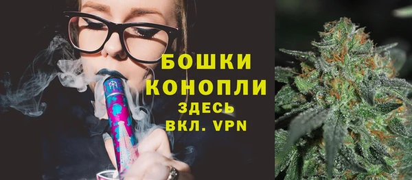амф Вяземский